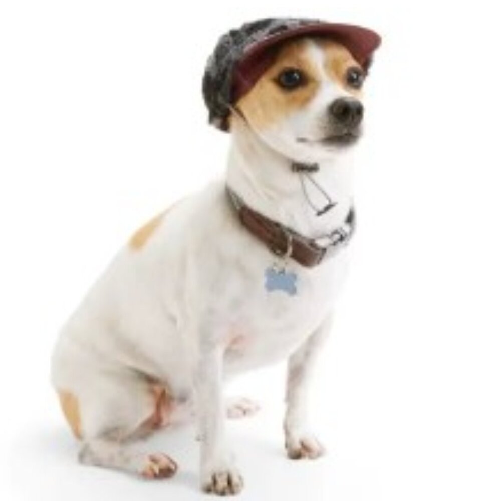 Dog Hat: Black Camo Sherpa Adjustable Cap, XS-XL